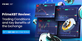 Exploring PrimeXBT Traders A Comprehensive Guide for Modern Traders Exploring PrimeXBT Traders A Comprehensive Guide for Modern Traders